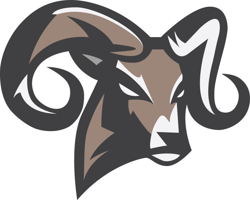 Remote Pursuits Logo